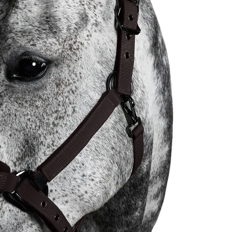 Aztec Diamond Panel Headcollar - Espresso-2