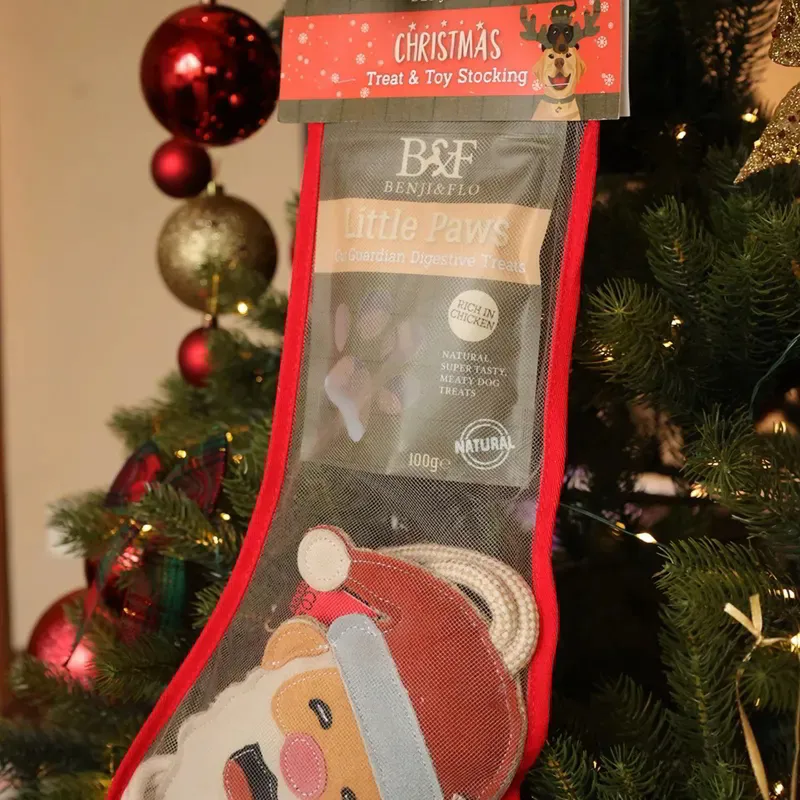 Benji and Flo Christmas Treat and Toy Stocking for Dogs-1