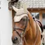 Kentucky Wellington 3D Logo Rope Fly Veil - Beige