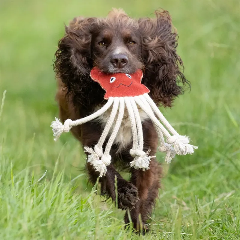 Benji and Flo Crazy Faces Dog Toy - Inky Octopus-1
