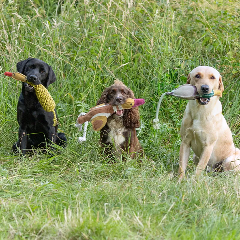 Benji and Flo Country Dog Toy - Quackers the Duck-2