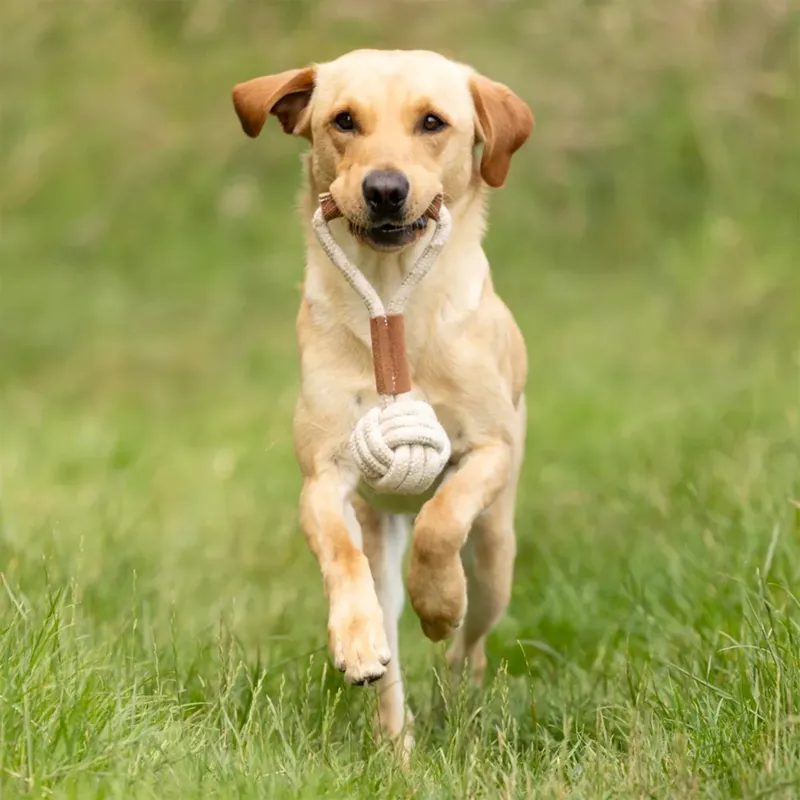 Benji and Flo Tug 'n' Play Toy - Rope with Ball-1