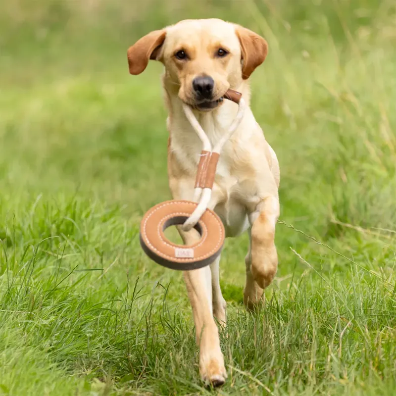 Benji and Flo Tug 'n' Play Toy - Rope with Ring-1