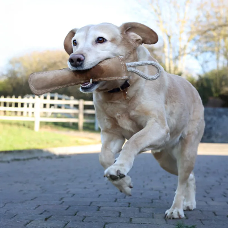 Benji and Flo EcoFriends Dog Toy - Retriever-1