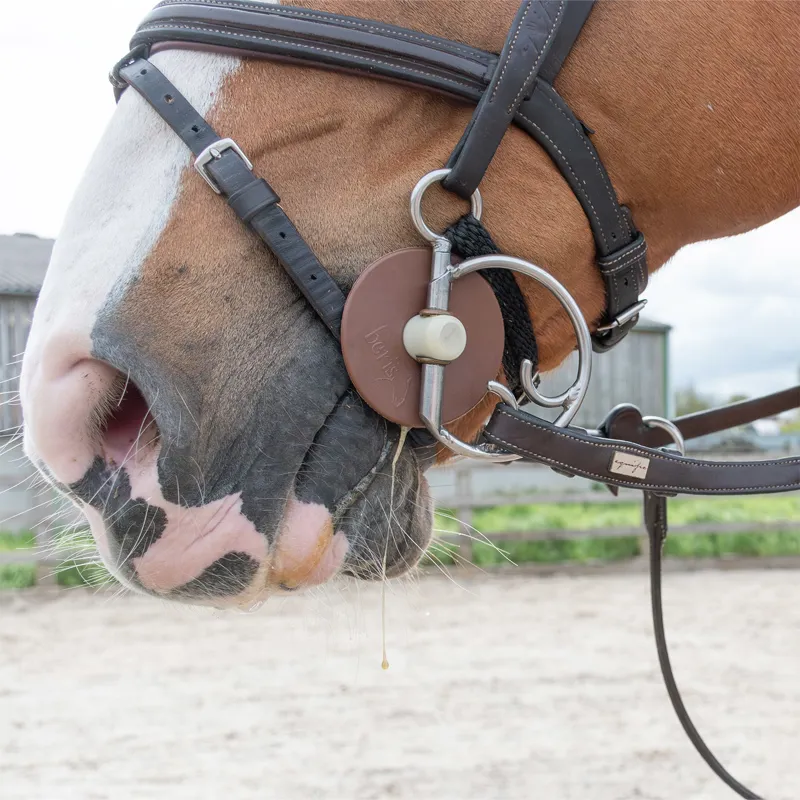 Beris Pure Kimblewick Jumping Combi Bit - Extra Soft-1