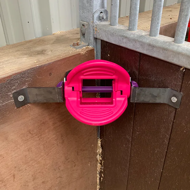 Bizzy Horse Bizzy Ball Horse Toy - Hot Pink-2