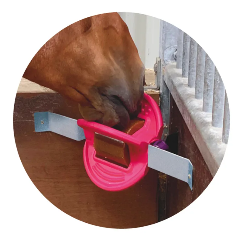 Bizzy Bites Wall Bracket-1