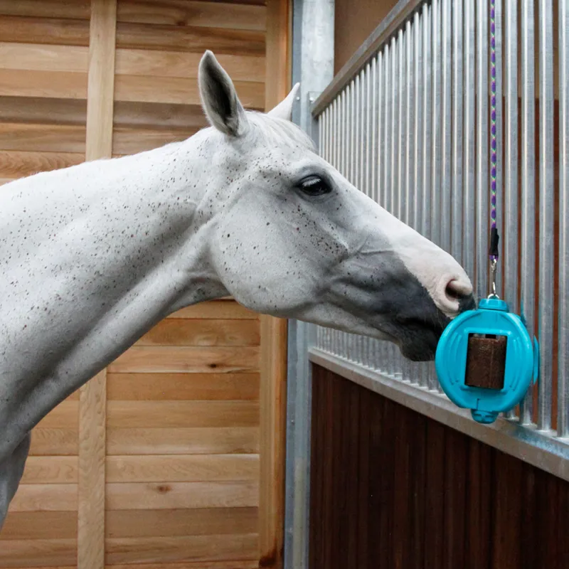 Bizzy Horse Bizzy Ball Horse Toy - Aqua-1