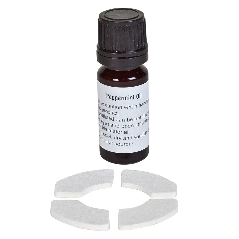 Bizzy Bites Refresh Kit - Peppermint