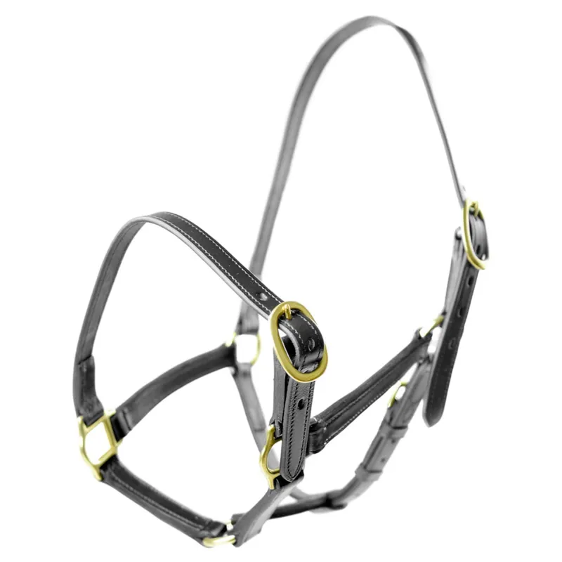 Dever Ascot Weaning to Yearling Leather Headcollar - Black