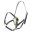 Dever Ascot Weaning to Yearling Leather Headcollar - Black