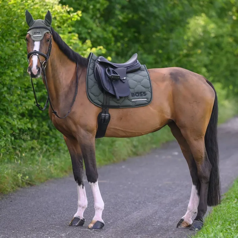 BOSS Equestrian Cambridge Dressage Saddlecloth - Pine Grove Pre-Order-3