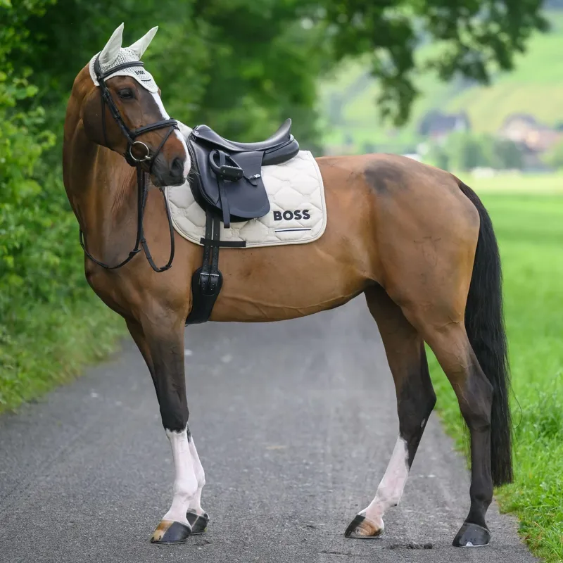 BOSS Equestrian Cambridge Dressage Saddlecloth - Pumice Pre-Order-2