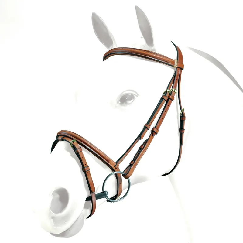 Equipe Emporio Flash Noseband Bridle - Newmarket/Brass