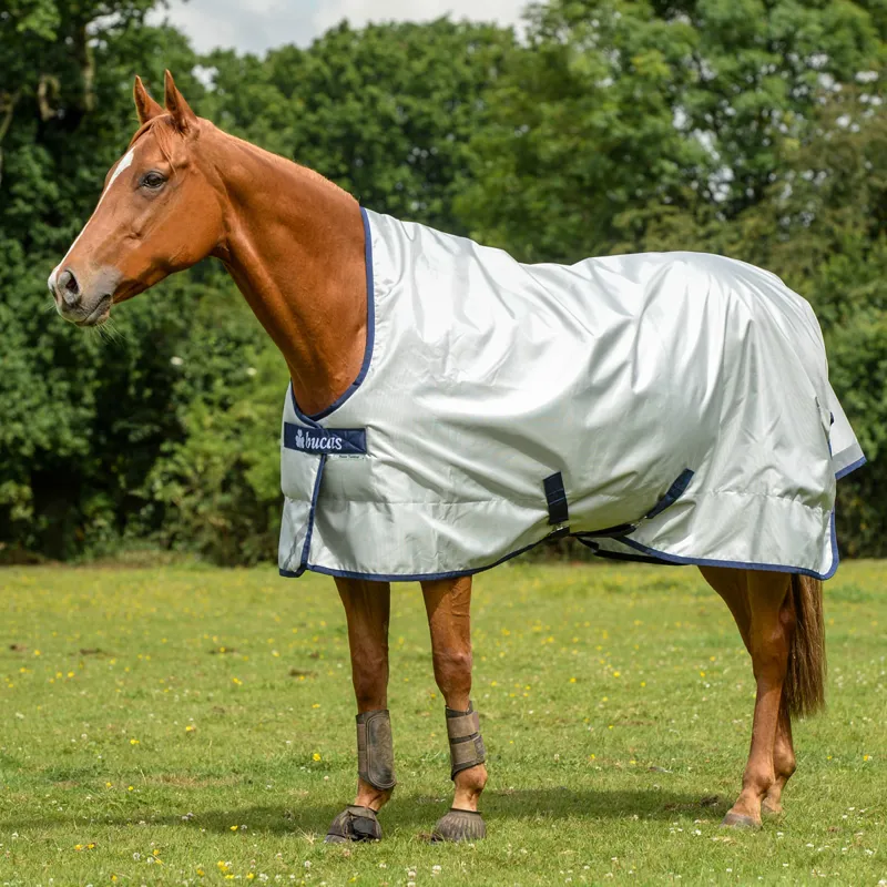 Bucas Power 0g High Neck Turnout Rug - Silver
