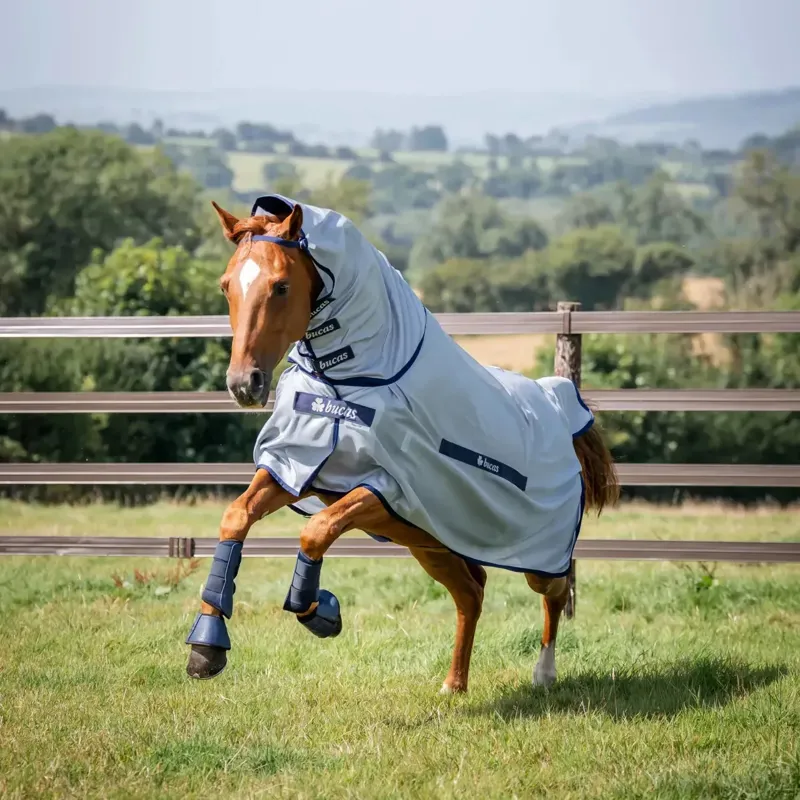 Bucas Buzz-Off Full Neck Fly Rug - Silver/Blue-3