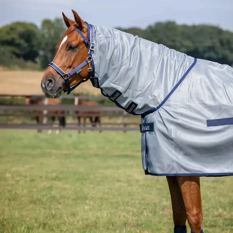 Bucas Buzz-Off Full Neck Fly Rug - Silver/Blue-1