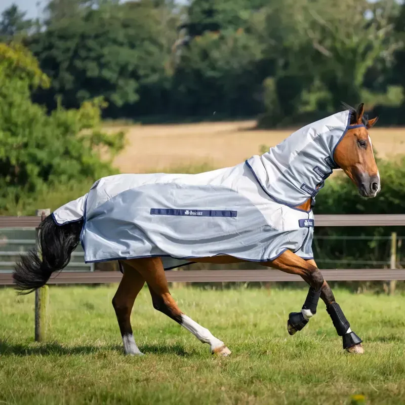 Bucas Buzz Off Rain Detachable Neck Waterproof Fly Rug - Silver/Blue