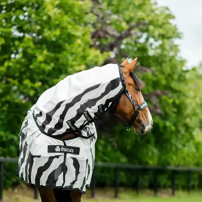 Bucas Buzz Off Rain Detachable Neck Waterproof Fly Rug - Zebra Print-5