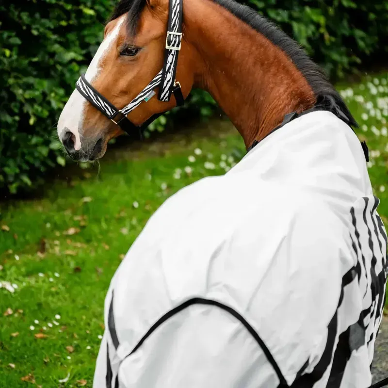 Bucas Buzz Off Rain Detachable Neck Waterproof Fly Rug - Zebra Print-11