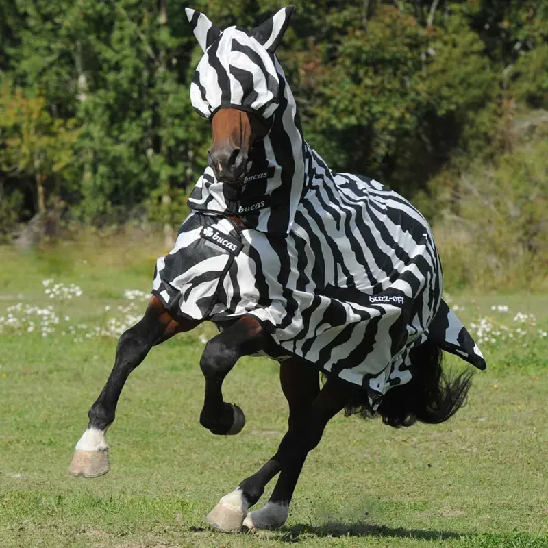 Bucas Buzz-Off Full Neck Fly Rug - Zebra Print-6
