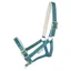 Bucas Dublin Foal Headcollar - Atlantic/Silver