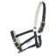 Bucas Dublin Foal Headcollar - Black/Silver