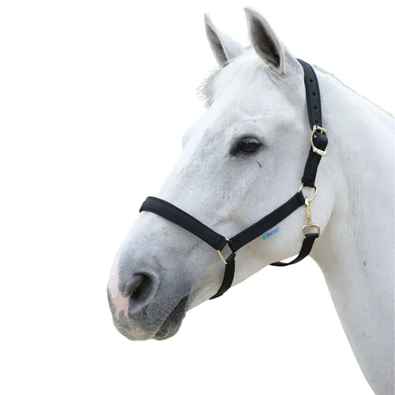 Bucas Dublin Foal Headcollar - Black/Black-1