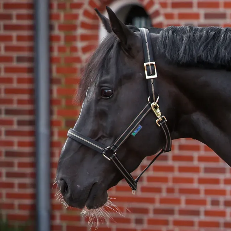 Bucas Dublin Headcollar - Black/Taupe