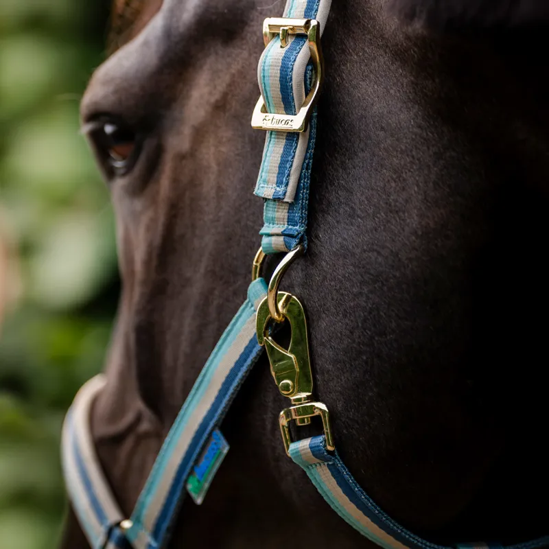 Bucas Dublin Headcollar - Turquoise Pre-Order-1