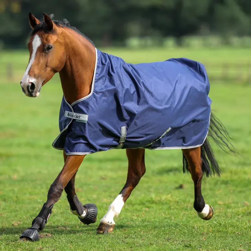 Bucas Freedom 0g Standard Neck Turnout Rug - Navy-4