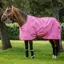 Bucas Freedom 0g Standard Neck Turnout Rug - Aurora Pink Pre-Order