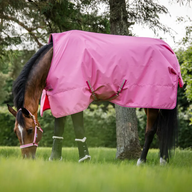 Bucas Freedom 0g Standard Neck Turnout Rug - Aurora Pink Pre-Order-1