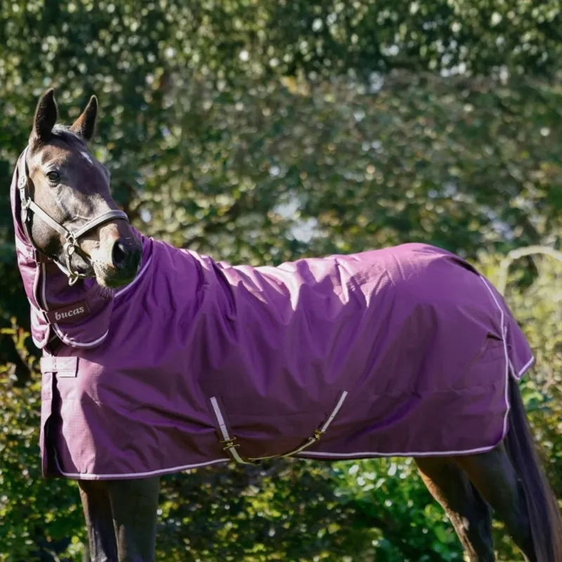 Bucas Freedom 150g Combo Neck Turnout Rug - Blackberry-2