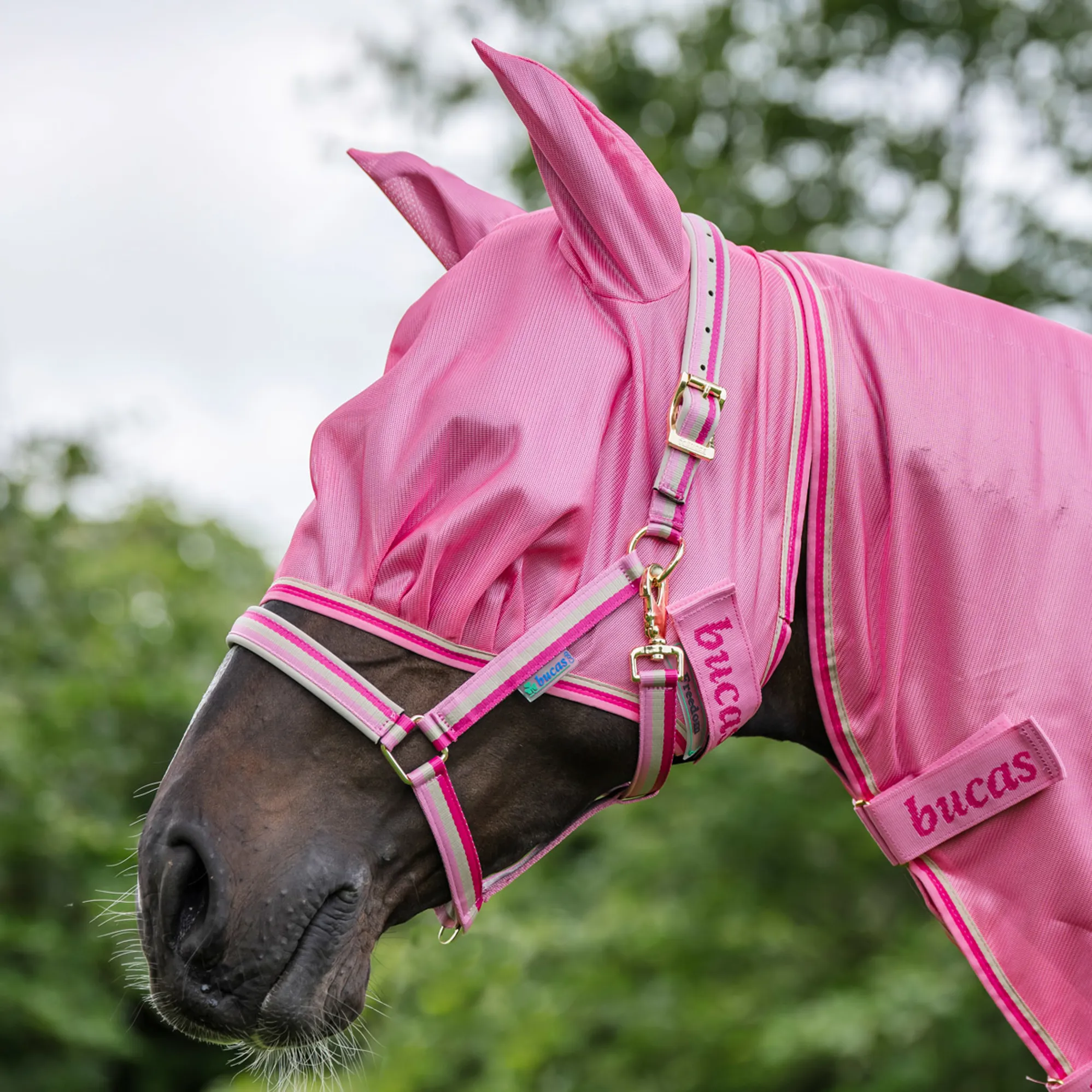 Freedom Fly Bucas Freedom Fly Mask - Aurora Pink