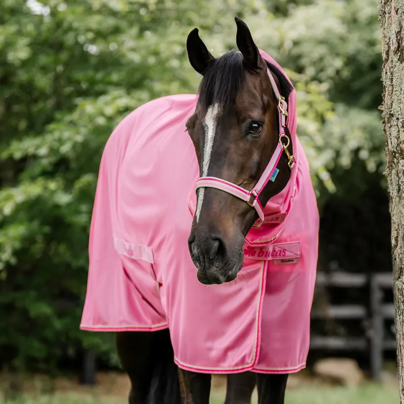 Bucas Freedom Combo Neck Fly Rug - Aurora Pink Pre-Order-1