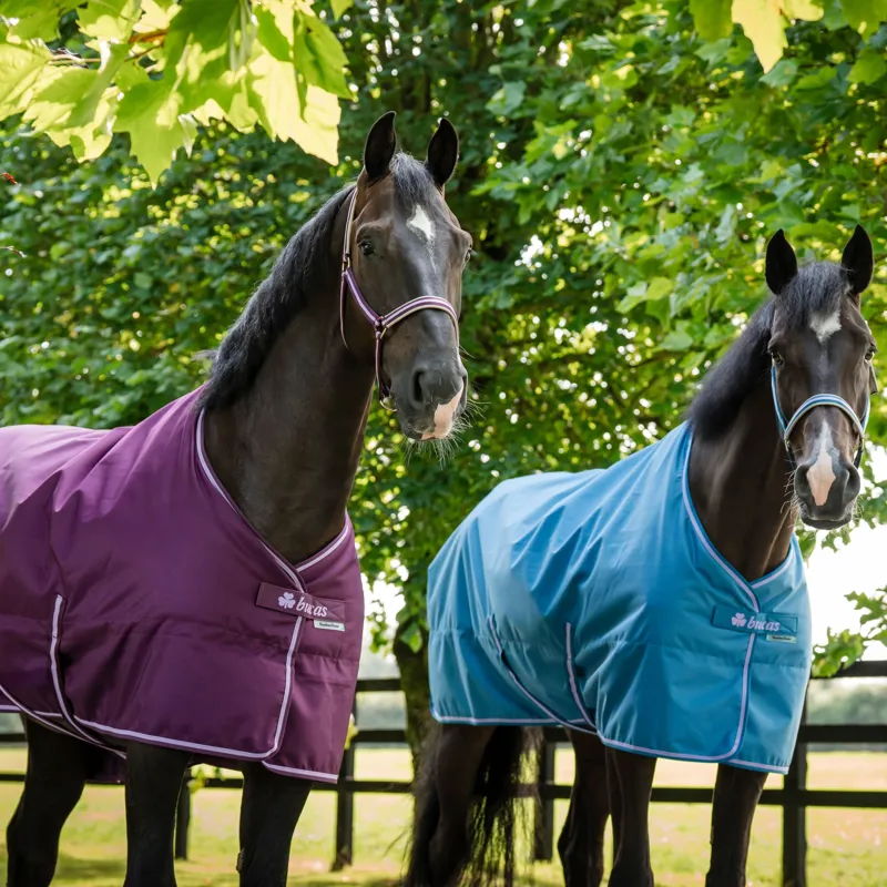 Bucas Freedom 150g Stable Rug - Blackberry-4