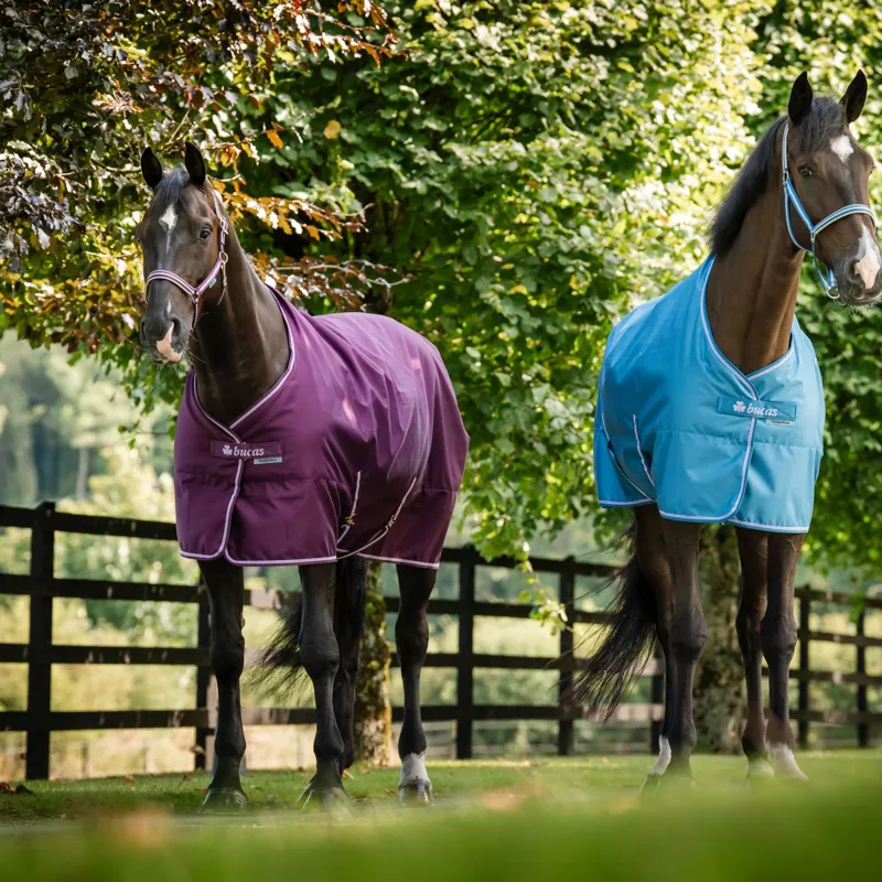 Bucas Freedom 150g Stable Rug - Blackberry-5