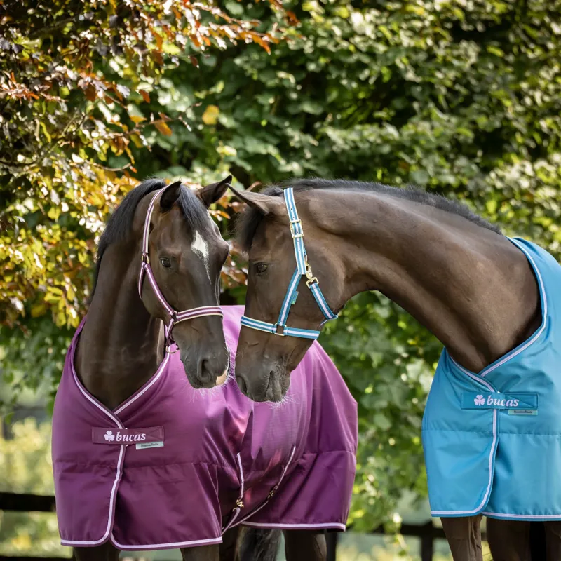 Bucas Freedom 150g Stable Rug - Blackberry-6