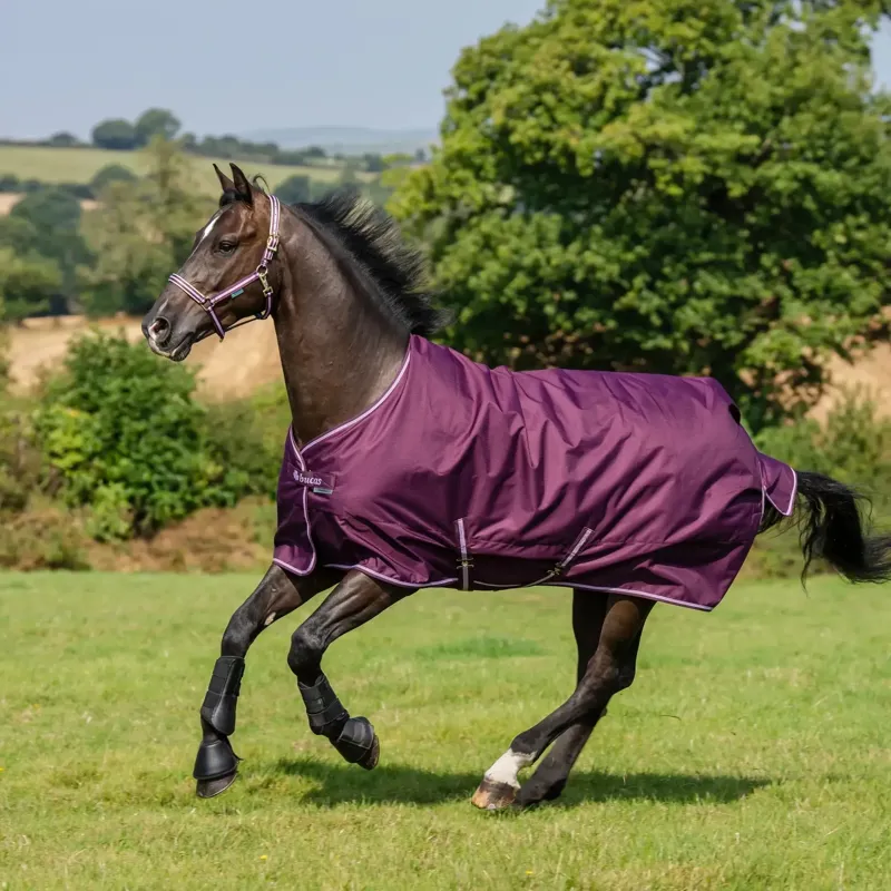 Bucas Freedom 50g Standard Neck Turnout Rug - Blackberry