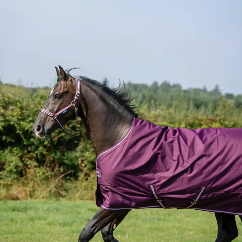 Bucas Freedom 50g Standard Neck Turnout Rug - Blackberry-1