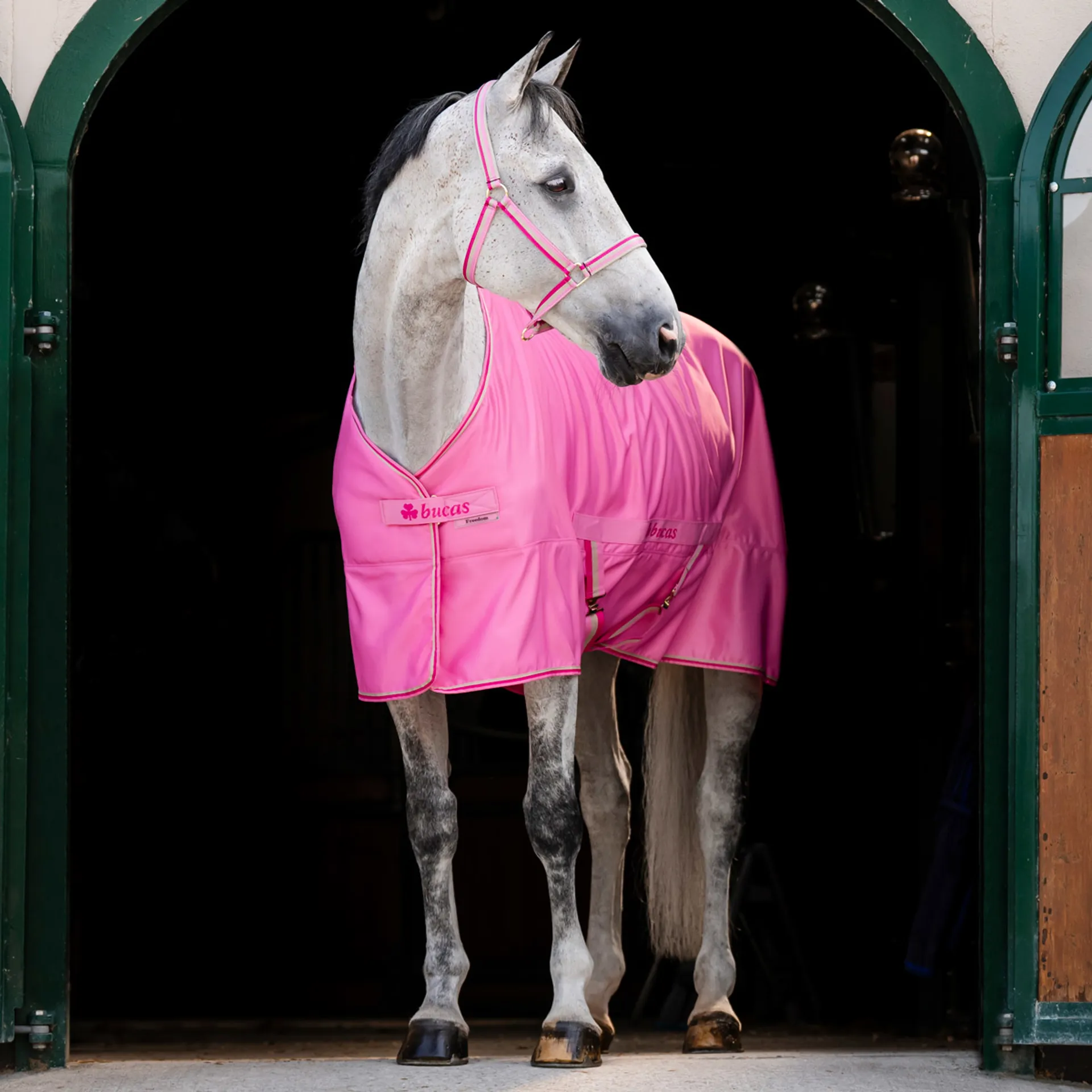 Pink Stable Rug Bucas Freedom Twill Stable Sheet - Aurora Pink