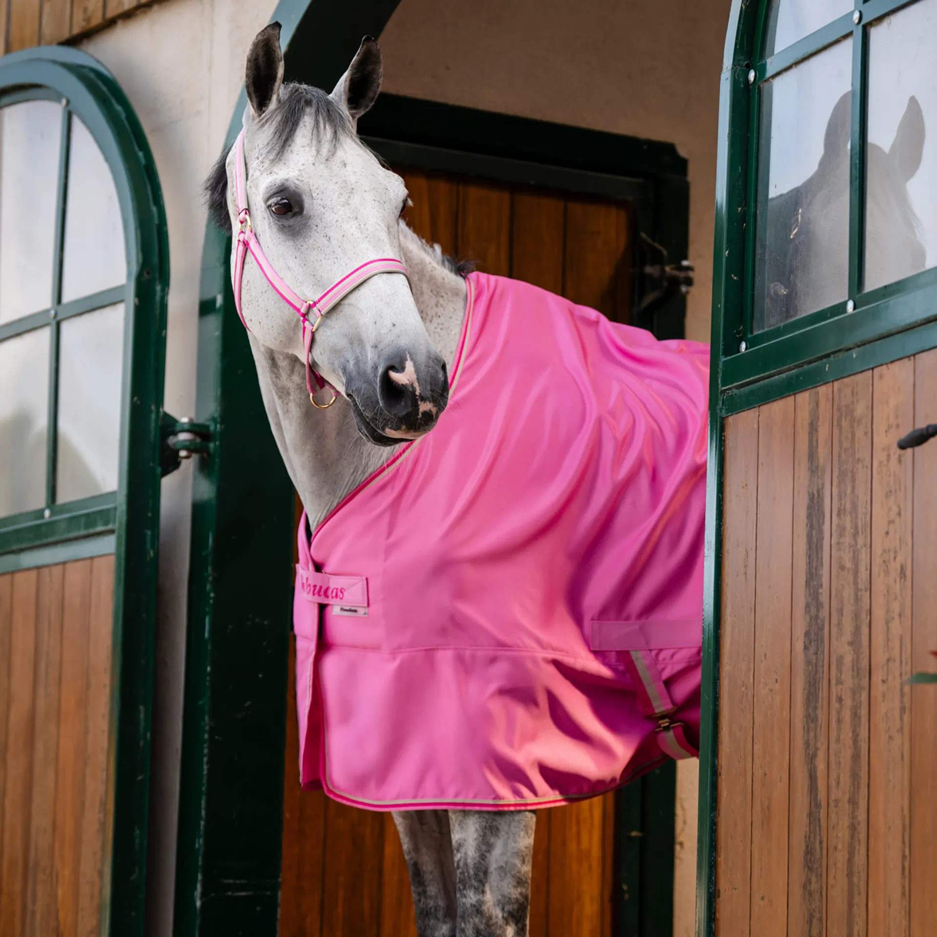 Pink Stable Rug Bucas Freedom Twill Stable Sheet - Aurora Pink