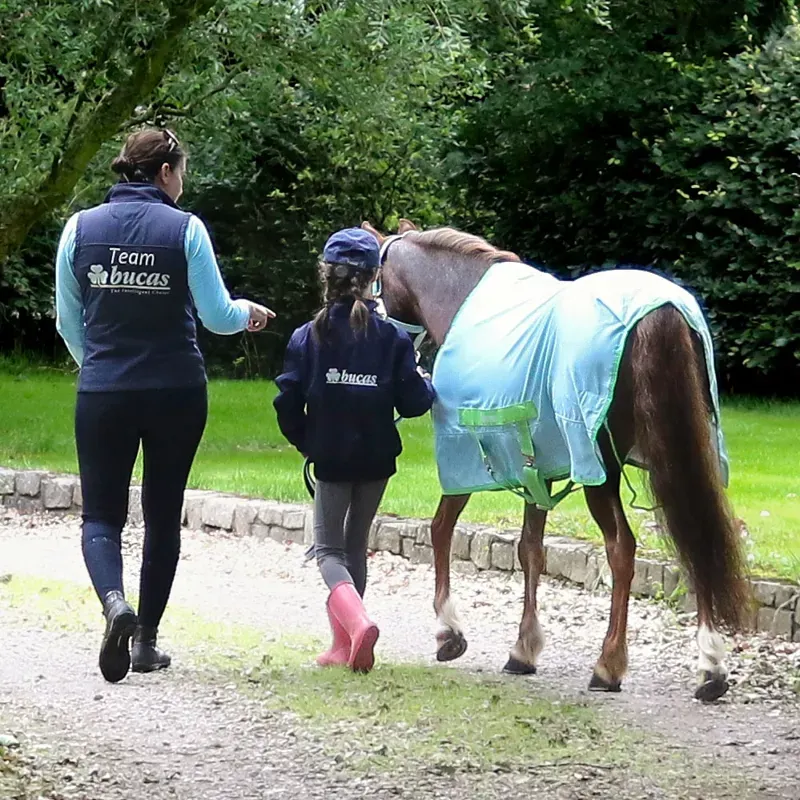 Bucas Freedom Twill Stable Sheet - Cool Blue-1