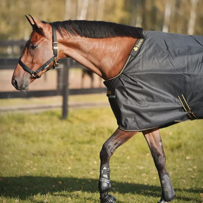 Bucas Irish 50g Standard Neck Turnout Rug - Black/Gold-1