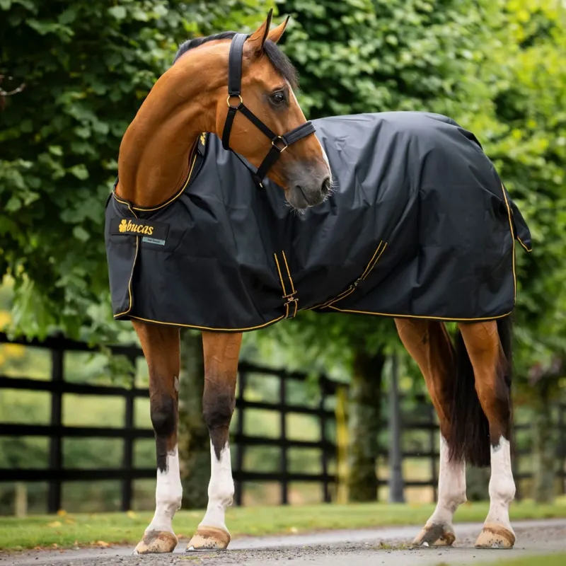 Bucas Irish 50g Standard Neck Turnout Rug - Black/Gold-2