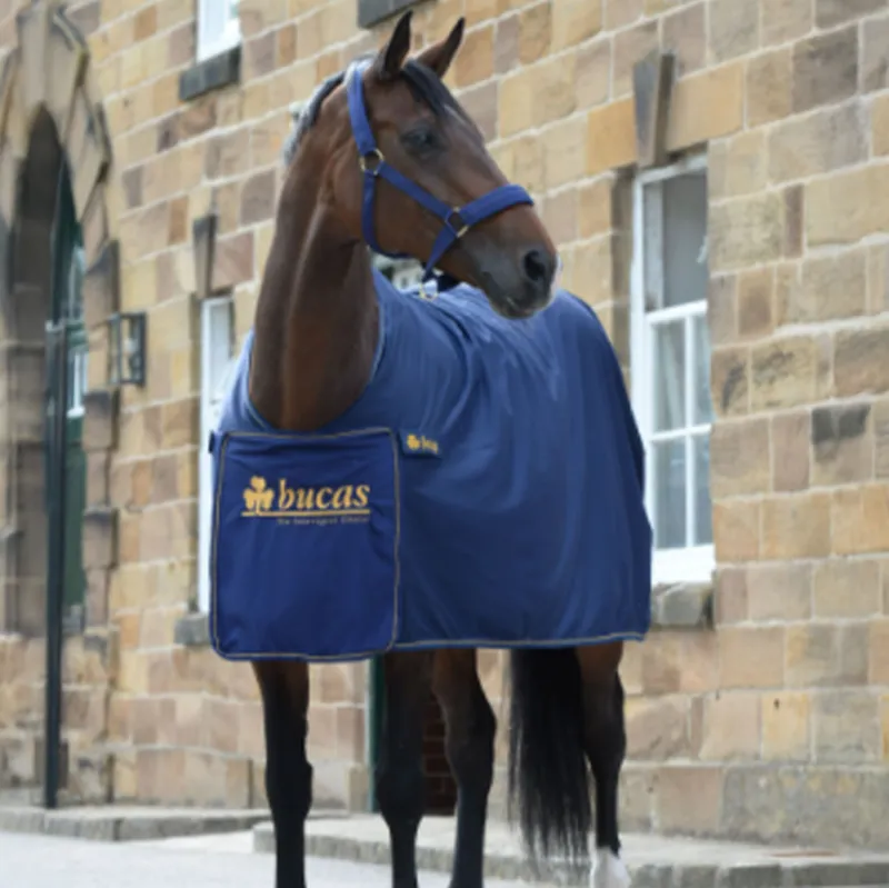 Bucas Panel Prize Cooler Rug - Navy/Gold