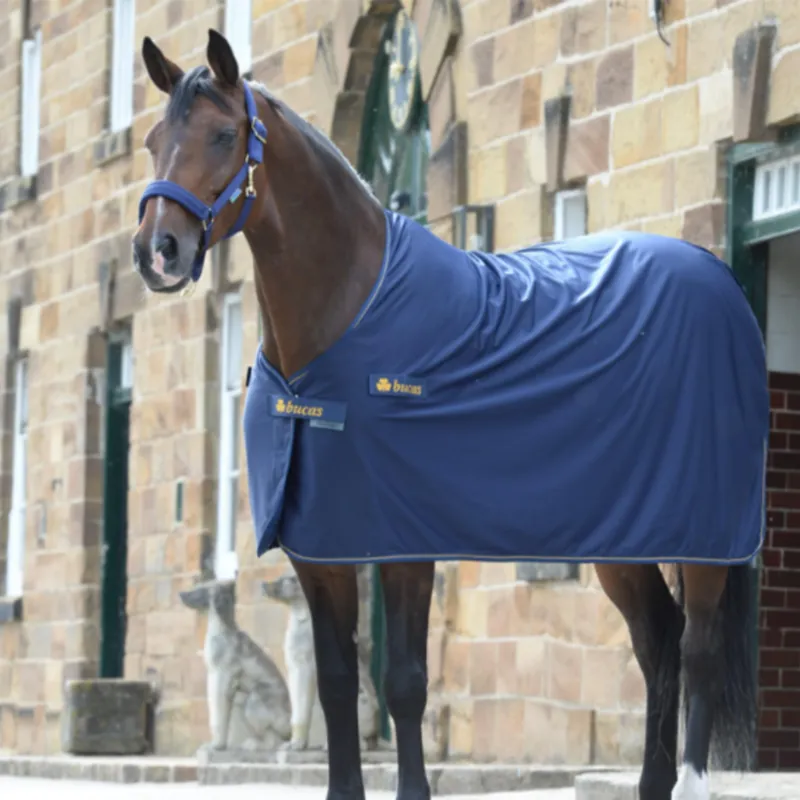 Bucas Panel Prize Cooler Rug - Navy/Silver