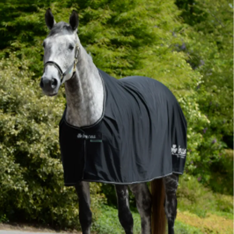 Bucas Power Prize Logo Cooler Rug - Black/Silver-1