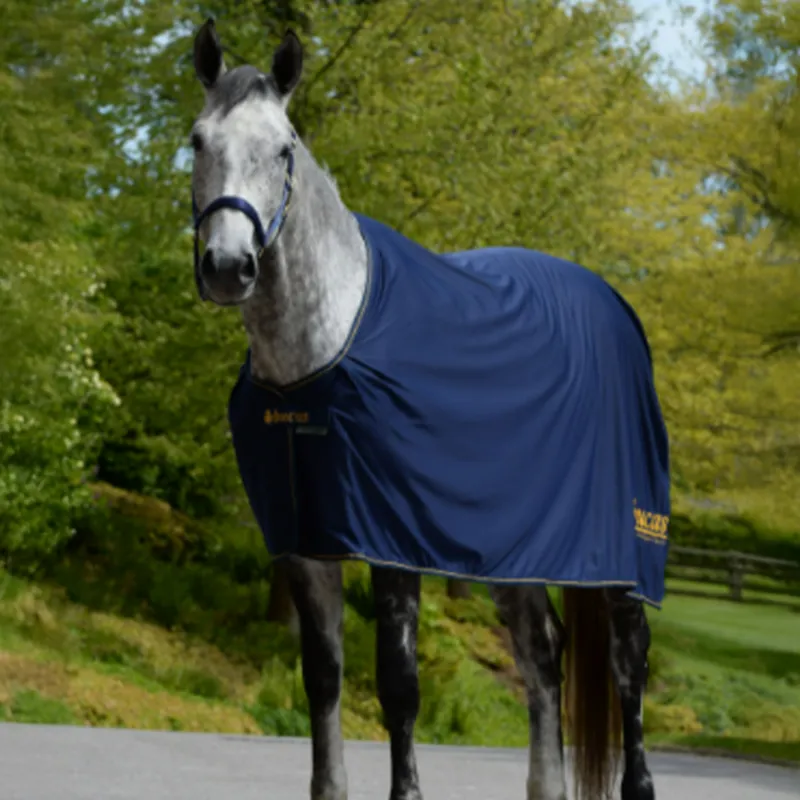 Bucas Power Prize Logo Cooler Rug - Navy/Gold-1